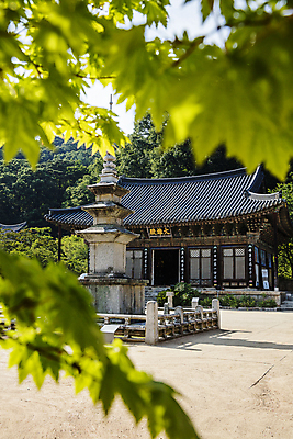 포토 JPG 주간 나뭇잎 풍경 사람없음 야외 사찰 석탑 소프트포커스 경상북도 김천 대웅전 직지사 국내포토 자연요소 잎 불교 종교건축 촬영기법 탑 경상도 파일형식