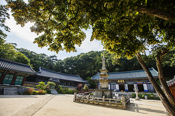 포토 JPG 주간 나뭇잎 풍경 사람없음 야외 사찰 석탑 경상북도 김천 대웅전 직지사 국내포토 자연요소 잎 불교 종교건축 탑 경상도 파일형식