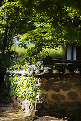 포토 JPG 주간 나뭇잎 풍경 사람없음 야외 사찰 경상북도 김천 대웅전 직지사 기와담장 국내포토 자연요소 잎 불교 종교건축 기와 담장 경상도 파일형식