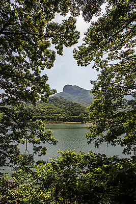 포토 JPG 주간 나무 호수 자연 산 풍경 사람없음 야외 전라남도 담양 국내포토 자연요소 식물 전라도 생태계 파일형식