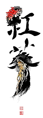 PSD 일러스트 캘리그라피 붓터치 사람없음 한자 약재 동양화 번짐 낙관 인삼꽃 형상화 홍삼 국내일러스트 문자 꽃 미술 약 삼 그림 파일형식 효과