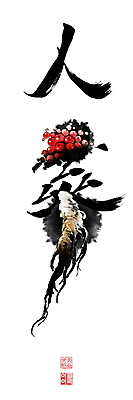 PSD 일러스트 캘리그라피 붓터치 사람없음 한자 약재 인삼 동양화 번짐 낙관 인삼꽃 형상화 국내일러스트 문자 꽃 미술 약 삼 그림 파일형식 효과