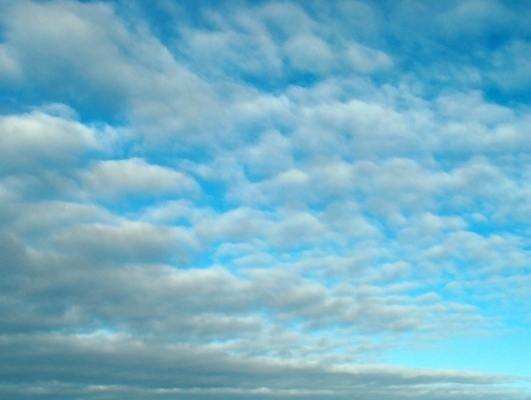 포토 JPG 해외이미지 실루엣 하늘색 백그라운드 자연 벽지 하늘 사람없음 야외 파란색 빛 태양 뷰티 웹 덮개 광선 흰색 만족 질감 부드러움 천국 해외포토 자연요소 감정 컬러 인터넷 촬영기법 뚜껑 감각 생태계 파일형식 이미지허브