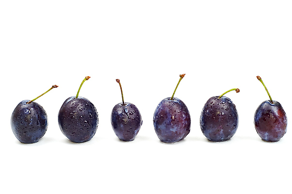 포토 JPG 해외이미지 음식 과일 자연 사람없음 파란색 어둠 신선 자두 고립 해외포토 컬러 생태계 파일형식 이미지허브