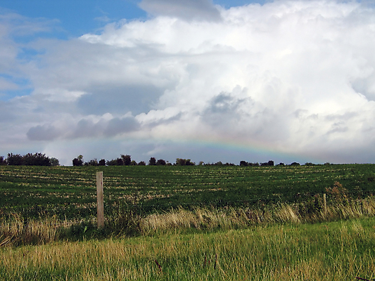 포토 JPG 해외이미지 나무 무지개 겨울 밭 자연 하늘 날씨 사람없음 야외 초록색 빛 침묵 회색 시골 언덕 장면 천국 흐림 빛망울 멀티 스펙트럼 해외포토 자연요소 식물 계절 컬러 농업 소리 생태계 파일형식 이미지허브