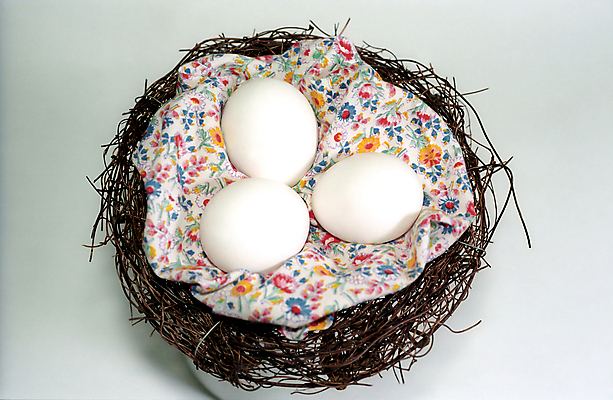 포토 JPG 해외이미지 전통 종교 문화 음식 꽃무늬 부활절 3 사람없음 장식 흰색 직물 둥지 만족 해외포토 기념일 꽃 감정 컬러 무늬 파일형식 이미지허브