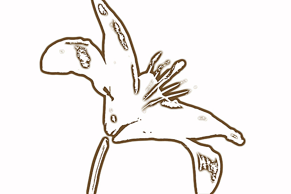 포토 JPG 해외이미지 꽃 사람없음 검은색 회색 그리기 클래식 해외포토 식물 컬러 컨셉 모션 파일형식 이미지허브