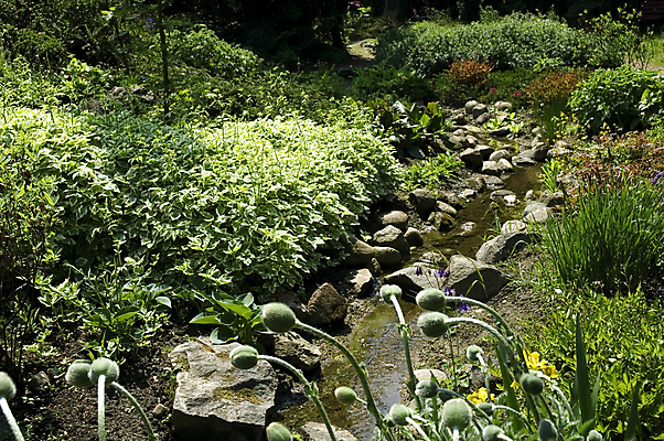포토 JPG 해외이미지 계절 공원 행복 도로 길 호수 밭 골프 자연 하늘 사람없음 야외 초록색 파란색 빛 강 태양 계단 환경 봄 기쁨 성장 시골 신선 숲 강의 언덕 내추럴 생태학 수평선 해외포토 자연요소 공공시설 교육 감정 컬러 농업 교통시설 구기 생태계 파일형식 이미지허브