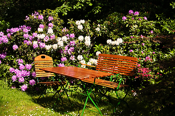 포토 JPG 해외이미지 꽃 벤치 의자 탁자 휴식 사람없음 야외 목재 가로 초록색 햇빛 갈색 정원 보라색 봄 벚꽃 흰색 시골 진달래 해외포토 나무 식물 계절 컬러 가구 컨셉 재료 태양 파일형식 이미지허브