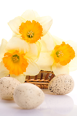 포토 JPG 해외이미지 전통 계절 꽃잎 꽃 종교 문화 꽃다발 백그라운드 꽃무늬 패턴 자연 휴가 부활절 사람없음 장식 초록색 노란색 바구니 계란 맑음 봄 벚꽃 흰색 축하 점 얼룩 오브젝트 수선화 짜임 습관 고립 등나무 멀티 메추리 유월절 전경 해외포토 나무 식물 기념일 컬러 컨셉 무늬 날씨 풍경 알 생태계 파일형식 탑뷰 이미지허브