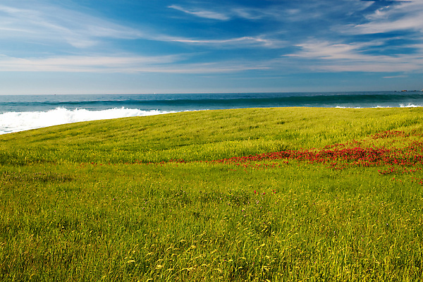 포토 JPG 해외이미지 식물 구름 계절 공원 파도 여행 밭 농업 자연 벽지 하늘 날씨 풍경 잔디 초원 사람없음 야외 초록색 물 여름 컬러풀 햇빛 농장 환경 봄 활발 수확 시골 땅 장면 파라다이스 수평선 해외포토 자연요소 공공시설 산업 바다 컬러 컨셉 태양 생태계 파일형식 이미지허브