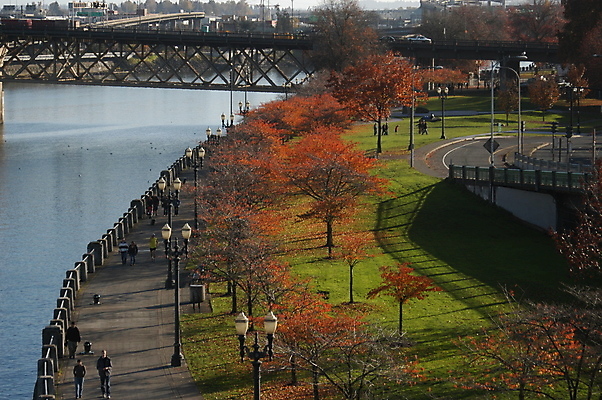 포토 JPG 해외이미지 나무 공원 도로 길 여행 잎 거리 사람없음 야외 초록색 물 강 산책 젖음 가을 도시 방문 해외포토 자연요소 식물 계절 공공시설 컬러 교통시설 휴식 파일형식 이미지허브