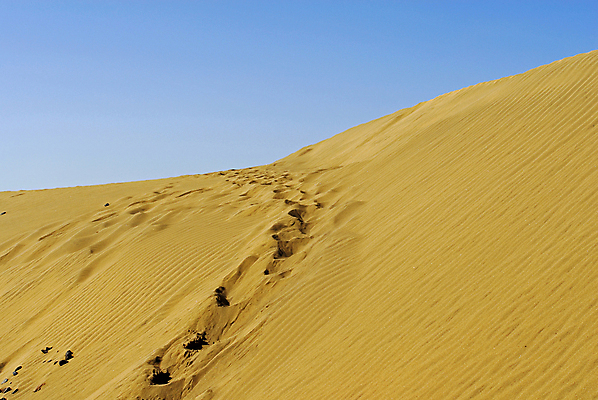 포토 JPG 해외이미지 선 모래 바다 여행 백그라운드 패턴 자연 추상 휴가 휴식 사람없음 모래사장 컬러풀 뷰티 일몰 사막 기록 뜨거움 메시지 인쇄 모래언덕 사인 질감 층 내추럴 고립 대본 생태학 각인 카피스페이스 해외포토 교육 컬러 컨셉 무늬 노을 공백 언덕 생태계 파일형식 이미지허브