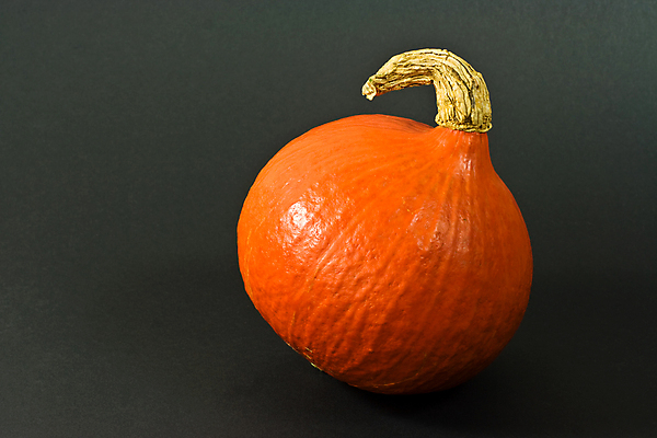 포토 JPG 해외이미지 스튜디오촬영 1 채소 오렌지 호박 사람없음 가로 검은색 홋카이도 스쿼시 해외포토 스포츠 컬러 과일 실내 구기 일본 파일형식 이미지허브