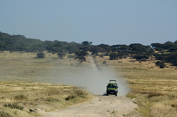 포토 JPG 해외이미지 나무 도로 모래 여행 아프리카 자동차 사람없음 초록색 노란색 숲 승합차 사파리 먼지 사바나 세렝게티 탄자니아 흙길 해외포토 식물 나라 길 육상교통 컬러 교통시설 승용차 흙 파일형식 이미지허브