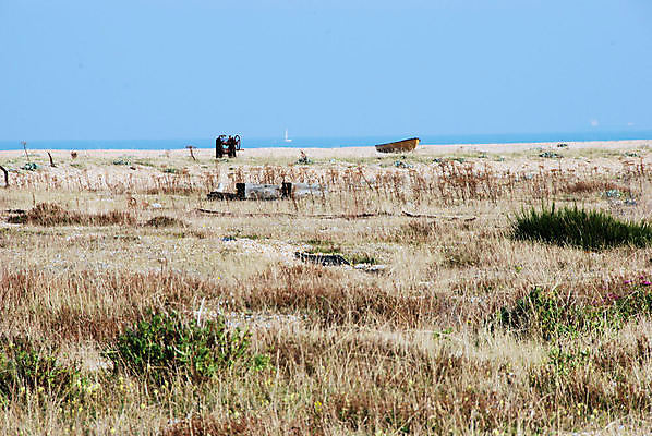 포토 JPG 해외이미지 바다 사람없음 환경 조약돌 잡초 보트 씻기 부식 해외포토 식물 배_교통 청결 돌_바위 파일형식 이미지허브