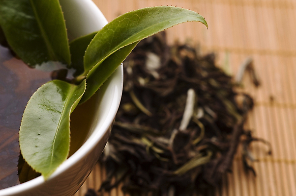 포토 JPG 해외이미지 잎 티타임 근접촬영 사람없음 아웃포커스 찻잔 녹차 찻잎 녹차잎 해외포토 식물 뷰포인트 휴식 잔 촬영기법 차_음료 파일형식 이미지허브