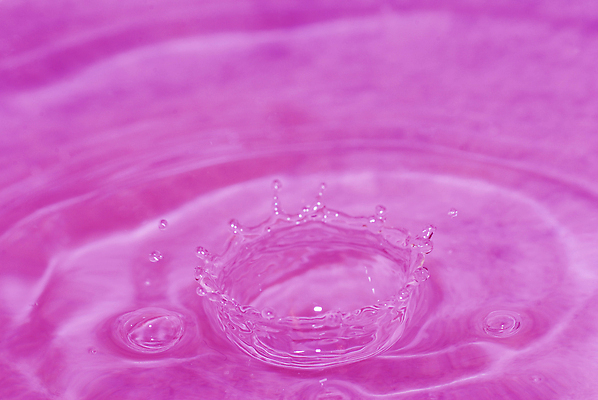 포토 JPG 해외이미지 분홍색 사람없음 물 보라색 물방울 떨어짐 부드러움 해외포토 자연요소 컬러 컨셉 감각 파일형식 이미지허브