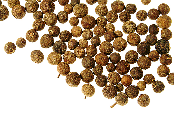 포토 JPG 해외이미지 음식 자연 씨앗 사람없음 초록색 흰색 맛 향신료 냄새 아로마 후추 고립 해외포토 식물 컬러 컨셉 생태계 향미료 파일형식 이미지허브