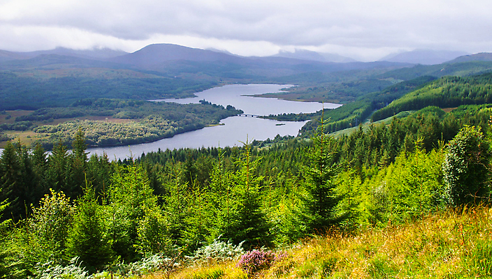 포토 JPG 해외이미지 나무 자연 풍경 사람없음 야외 초록색 물 강 컬러풀 노란색 계곡 개울 황무지 숲 장면 해외포토 자연요소 식물 컬러 생태계 파일형식 이미지허브