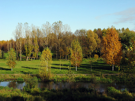 포토 JPG 해외이미지 나무 식물 계절 공원 줄기 여행 백그라운드 단풍 잎 꽃무늬 오렌지 자연 벽지 하늘 그림자 풍경 초원 사람없음 야외 목재 장식 초록색 강 뷰티 노란색 환경 가을 나뭇가지 시골 개울 황금 숲 작음 자작나무 내추럴 강렬 모스크바 해외포토 공공시설 꽃 컬러 무늬 과일 재료 크기 생태계 러시아 파일형식 이미지허브