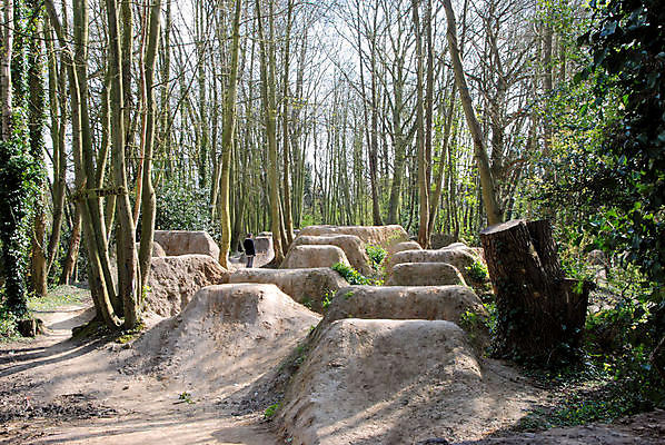 포토 JPG 해외이미지 나무 기술 사람없음 자전거 산책로 승차 먼지 삼림지대 해외포토 식물 길 모션 바이크 숲 파일형식 이미지허브