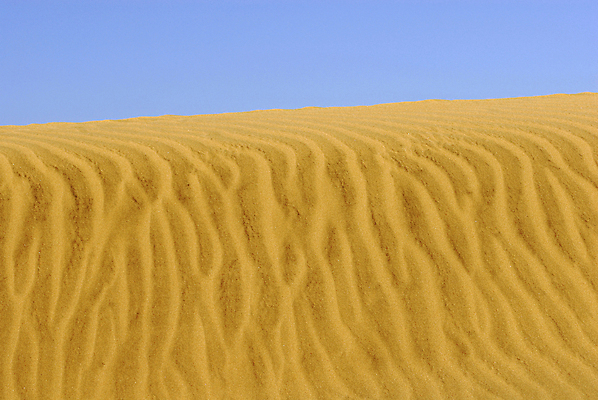 포토 JPG 해외이미지 선 모래 바다 여행 백그라운드 패턴 자국 자연 하늘 표면 추상 휴가 휴식 사람없음 야외 파란색 모래사장 컬러풀 뷰티 노란색 사막 기록 뜨거움 메시지 인쇄 모래언덕 사인 질감 단계 내추럴 고립 생태학 자취 각인 해외포토 교육 컬러 컨셉 무늬 언덕 생태계 파일형식 이미지허브