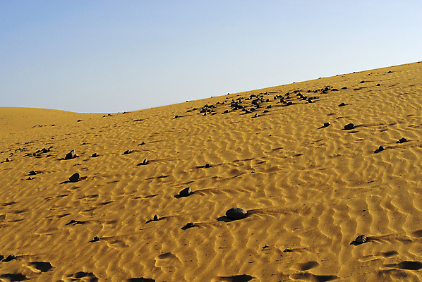 포토 JPG 해외이미지 선 모래 바다 여행 백그라운드 패턴 표면 추상 휴가 휴식 사람없음 야외 모래사장 컬러풀 뷰티 일몰 사막 기록 뜨거움 메시지 인쇄 모래언덕 사인 질감 웨이브 내추럴 고립 대본 생태학 각인 카피스페이스 해외포토 교육 컬러 컨셉 무늬 노을 공백 언덕 파일형식 이미지허브