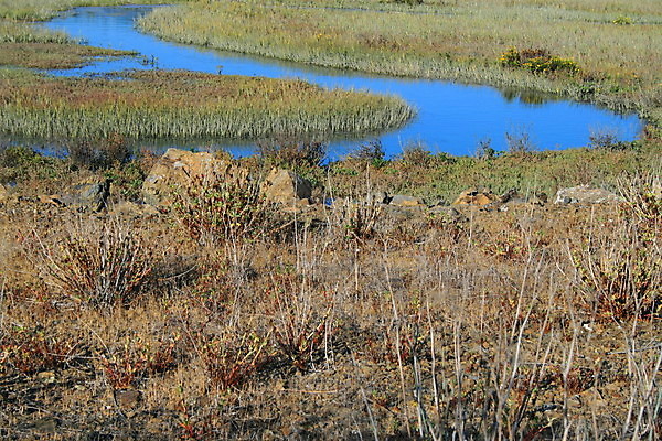 포토 JPG 해외이미지 나무 식물 공원 길 잎 자연 하늘 사람없음 야외 초록색 물 파란색 강 달리기 태양 평화 맑음 폭포 젖음 흐름 개울 황무지 숲 암초 해외포토 자연요소 공공시설 컬러 컨셉 모션 날씨 생태계 파일형식 이미지허브