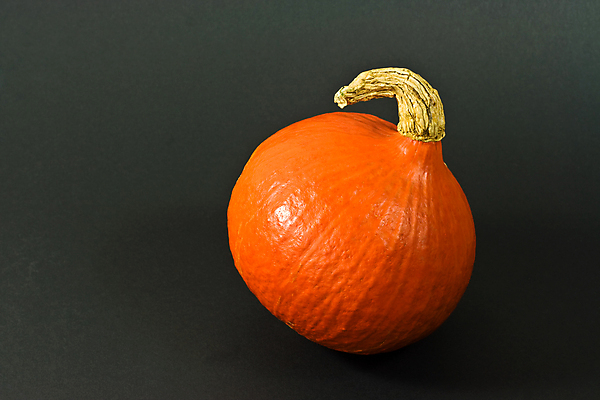 포토 JPG 해외이미지 스튜디오촬영 1 채소 오렌지 호박 사람없음 가로 검은색 홋카이도 스쿼시 해외포토 스포츠 컬러 과일 실내 구기 일본 파일형식 이미지허브