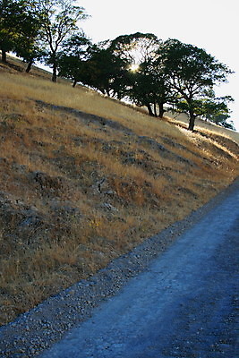 포토 JPG 해외이미지 나무 구름 공원 꽃 음식 밭 농업 자연 하늘 풍경 사람없음 야외 목재 세로 초록색 여름 파란색 농장 농경지 노란색 환경 맑음 목장 흰색 시골 고독 숲 땅 밀 땅바닥 밭일 생태학 해외포토 자연요소 식물 계절 공공시설 교육 감정 산업 컬러 재료 날씨 곡류 바닥 생태계 파일형식 이미지허브