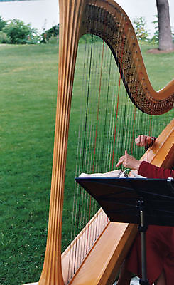 포토 JPG 해외이미지 줄 음악 결혼 관리 사람없음 목재 콘서트 숲 팔 해외포토 나무 재료 문화예술 이벤트 신체부위 공연 파일형식 이미지허브