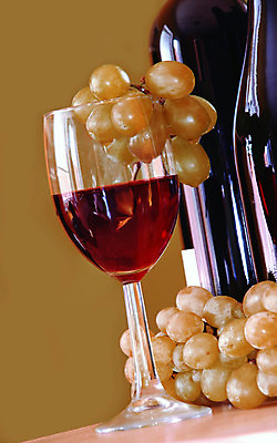 포토 JPG 해외이미지 음료 와인잔 과일 유리 탁자 포도 건조 사람없음 빨간색 초록색 노란색 와인 검은색 저녁식사 어둠 주스 성장 마시기 흰색 물방울 신선 투명 달콤 맛 떨어짐 편안함 다발 수집 만족 아로마 포도나무 향 지하실 맛있는 해외포토 감정 컬러 가구 컨셉 술잔 모션 재질 주류 식사 감각 과일나무 파일형식 이미지허브