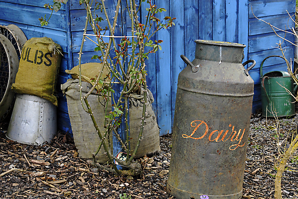 포토 JPG 해외이미지 꽃 농업 가방 사람없음 목재 금속 봄 우유 수확 골동품 시골 캔 가득함 자루 헛간 옛날 정물화 해외포토 나무 식물 잡화 계절 산업 재료 재질 유제품 그림 저장고 파일형식 이미지허브