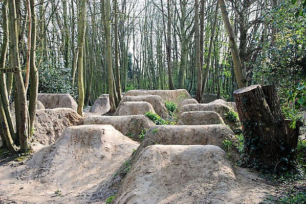 포토 JPG 해외이미지 나무 영국 잉글랜드 사람없음 산책로 진흙 삼림지대 해외포토 식물 유럽 길 숲 파일형식 이미지허브