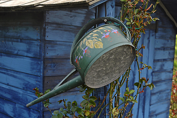 포토 JPG 해외이미지 식물 유물 사람없음 야외 목재 물 파란색 금속 정원 봄 물뿌리개 골동품 도구 공구 시골 물주기 원예 헛간 스프링쿨러 심기 옛날 해외포토 자연요소 나무 전통 계절 컬러 재료 모션 재질 취미 저장고 파일형식 이미지허브