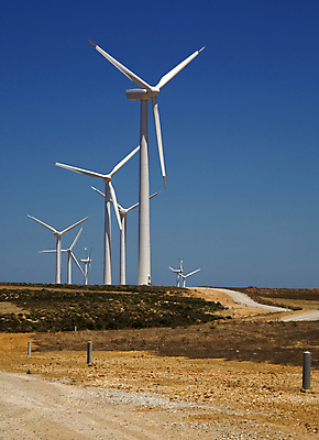 포토 JPG 해외이미지 산업 밭 자연 하늘 바람 사람없음 파란색 환경 힘 장비 풍차 발전기 에너지 그룹 선택 불기 프로펠러 개성 혁명 개발 효율 공급 해외포토 자연요소 컬러 컨셉 농업 모션 날씨 발전소 생태계 파일형식 이미지허브