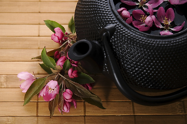 포토 JPG 해외이미지 꽃잎 티타임 근접촬영 사람없음 찻주전자 꽃차 해외포토 꽃 뷰포인트 주전자 휴식 차_음료 파일형식 이미지허브