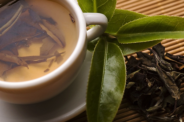 포토 JPG 해외이미지 잎 티타임 근접촬영 사람없음 찻잔 녹차 컵받침 찻잎 녹차잎 해외포토 식물 뷰포인트 휴식 잔 차_음료 받침대 파일형식 이미지허브