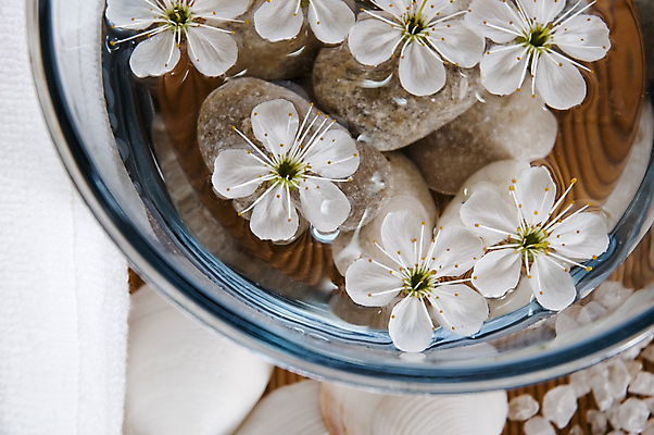 포토 JPG 해외이미지 꽃 재료 자연 유리 휴식 건강 사람없음 장식 물 수건 건강관리 스파 활발 약재 신선 액체 체리 그룹 사발 영혼 고급 선택 약초 허브 가득함 대나무 명상 향기 소금 아로마테라피 테라피 바디케어 천진난만 완전 해외포토 자연요소 나무 식물 컨셉 과일 재질 관리 위생용품 뷰티 약 풀_식물 사기그릇 생태계 냄새 파일형식 이미지허브