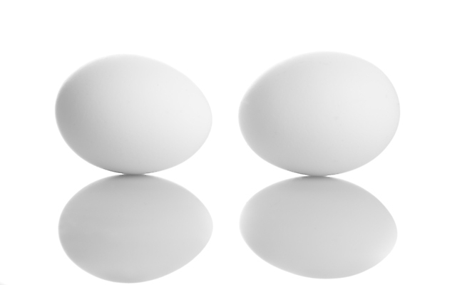 포토 JPG 해외이미지 2 농업 재료 부활절 사람없음 계란 껍질 흰색 아침식사 삶기 해외포토 기념일 산업 컬러 알 식사 파일형식 이미지허브