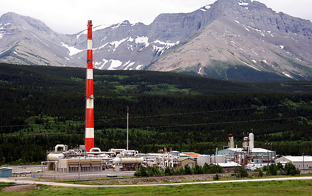 포토 JPG 해외이미지 식물 사람없음 빨간색 초록색 힘 에너지 흰색 뜨거움 숲 큼 시원함 연료 세대 디젤 화상 공급 해외포토 컬러 상처 크기 파일형식 이미지허브