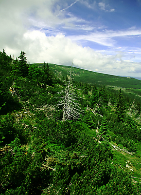 포토 JPG 해외이미지 식물 계절 도로 길 호수 여행 자국 자연 하늘 날씨 산 사람없음 야외 세로 물 파란색 환경 계곡 산책 트래킹 회색 조약돌 흰색 시골 황무지 위험 작음 그림 질감 알프스 먼지 기하학 슬로바키아 지질학 해외포토 자연요소 교육 유럽 컬러 컨셉 무늬 교통시설 레저 휴식 돌_바위 크기 생태계 파일형식 이미지허브