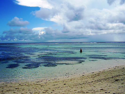 포토 JPG 해외이미지 모래 바다 섬 여행 하늘 휴식 사람없음 물 뷰티 해조류 세이셸 석호 파라다이스 수평선 해외포토 자연요소 컨셉 아프리카 해양식물 파일형식 이미지허브