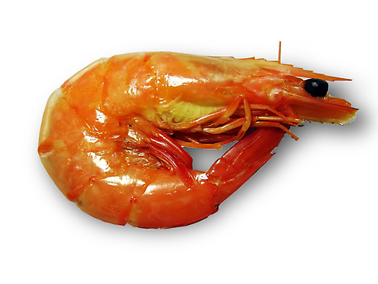 포토 JPG 해외이미지 동물 음식 바다 분홍색 백그라운드 조개 새우 사람없음 빨간색 껍질 해산물 준비 꼬리 흙더미 고립 동물상 해외포토 컬러 어패류 갑각류 조형물 흙 파일형식 더미 이미지허브