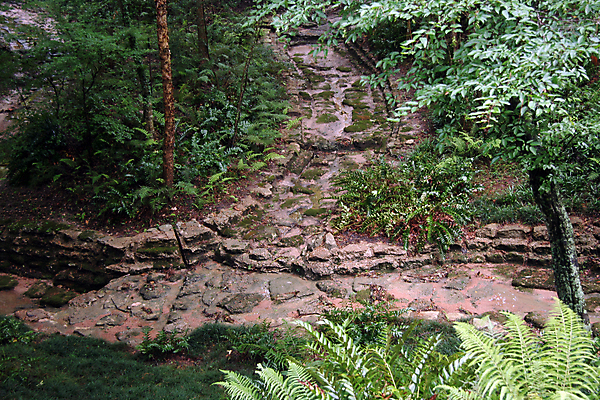 포토 JPG 해외이미지 나무 식물 공원 길 여행 잎 자국 자연 사람없음 야외 목재 초록색 평화 정원 침묵 산책 산책로 하이킹 탐험 황무지 숲 오솔길 장면 발견 내추럴 루트 방법 선로 혼자 해외포토 공공시설 컬러 컨셉 재료 레저 휴식 소리 생태계 파일형식 이미지허브