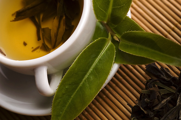 포토 JPG 해외이미지 잎 티타임 근접촬영 사람없음 찻잔 녹차 컵받침 찻잎 녹차잎 해외포토 식물 뷰포인트 휴식 잔 차_음료 받침대 파일형식 이미지허브