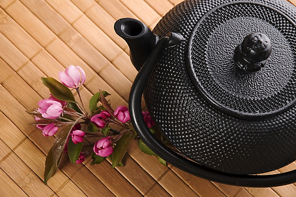 포토 JPG 해외이미지 꽃 티타임 사람없음 하이앵글 찻주전자 꽃차 해외포토 식물 뷰포인트 주전자 휴식 차_음료 파일형식 이미지허브