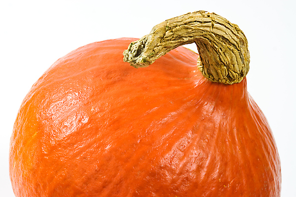 포토 JPG 해외이미지 스튜디오촬영 1 채소 오렌지 호박 사람없음 가로 흰색 묘사 홋카이도 스쿼시 해외포토 스포츠 컬러 과일 실내 구기 일본 파일형식 이미지허브