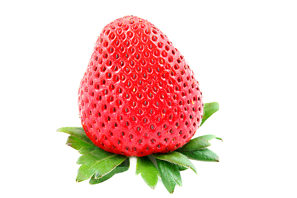 포토 JPG 해외이미지 열매 음식 잎 다이어트 과일 재료 자연 딸기 디저트 건강 씨앗 사람없음 빨간색 초록색 활발 흰색 신선 시장 달콤 아침식사 오브젝트 싱글 상쾌 유기농 날것 심플 고립 숙성 채식주의자 완전 해외포토 식물 웰빙 감정 컬러 컨셉 식사 맛 생태계 채식 파일형식 이미지허브